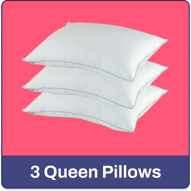 Three (3) Queen Pillows